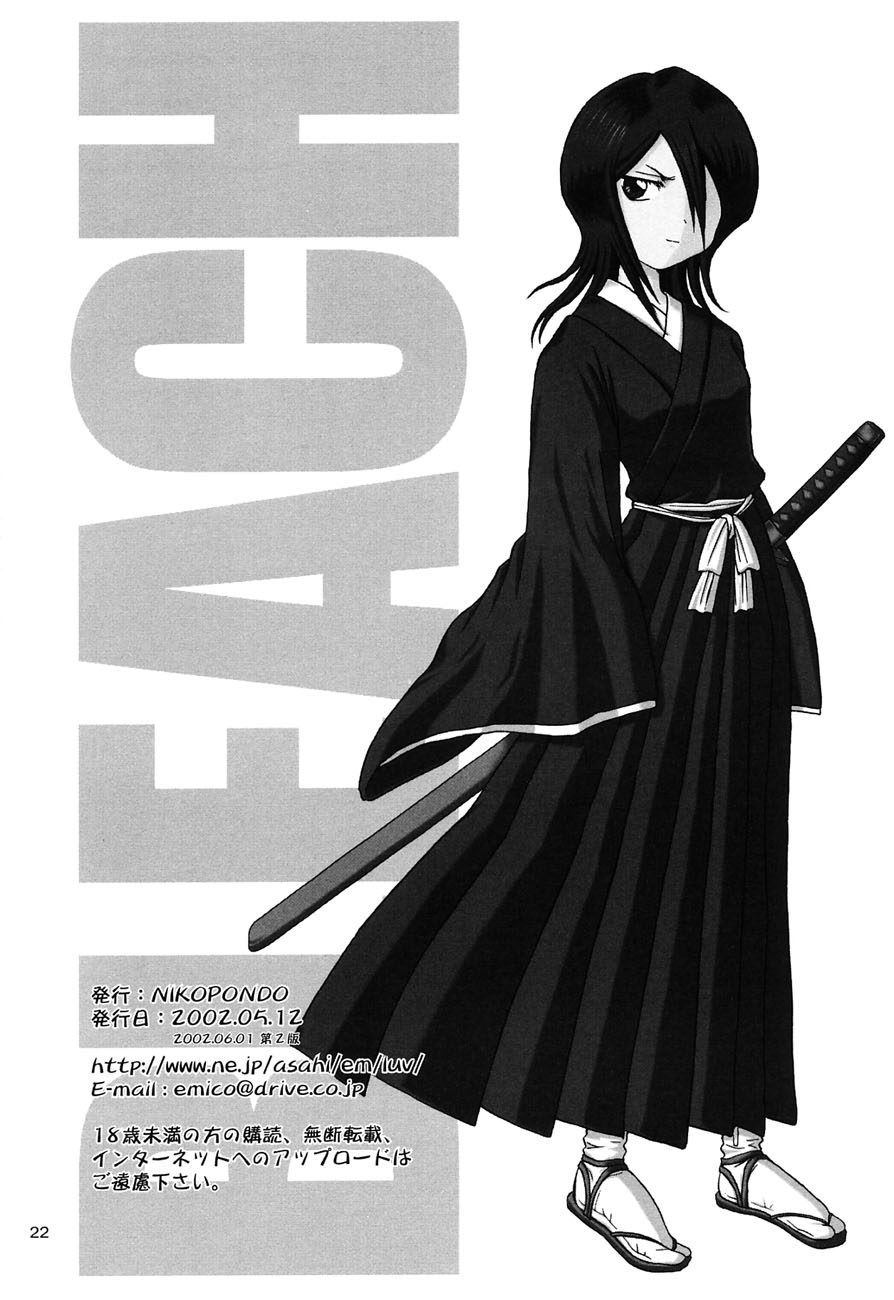 bleach_03_-_19.jpg