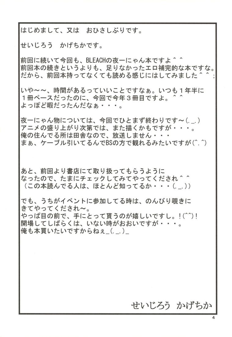 bleach_01_-_04.jpg