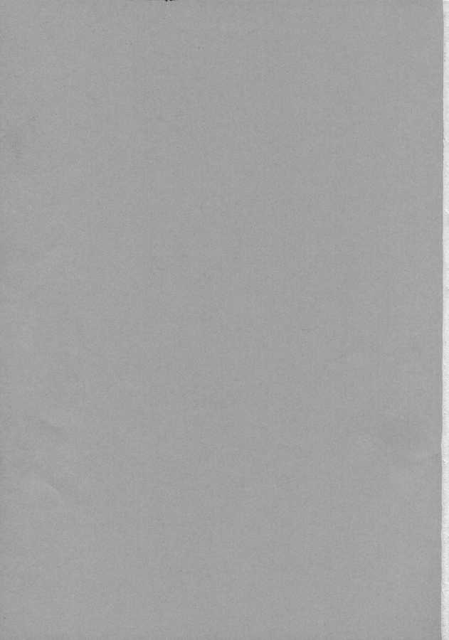 bleach_02_-_02.jpg