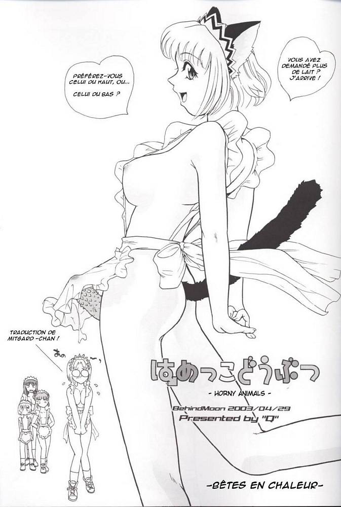 inconnu01_02.jpg